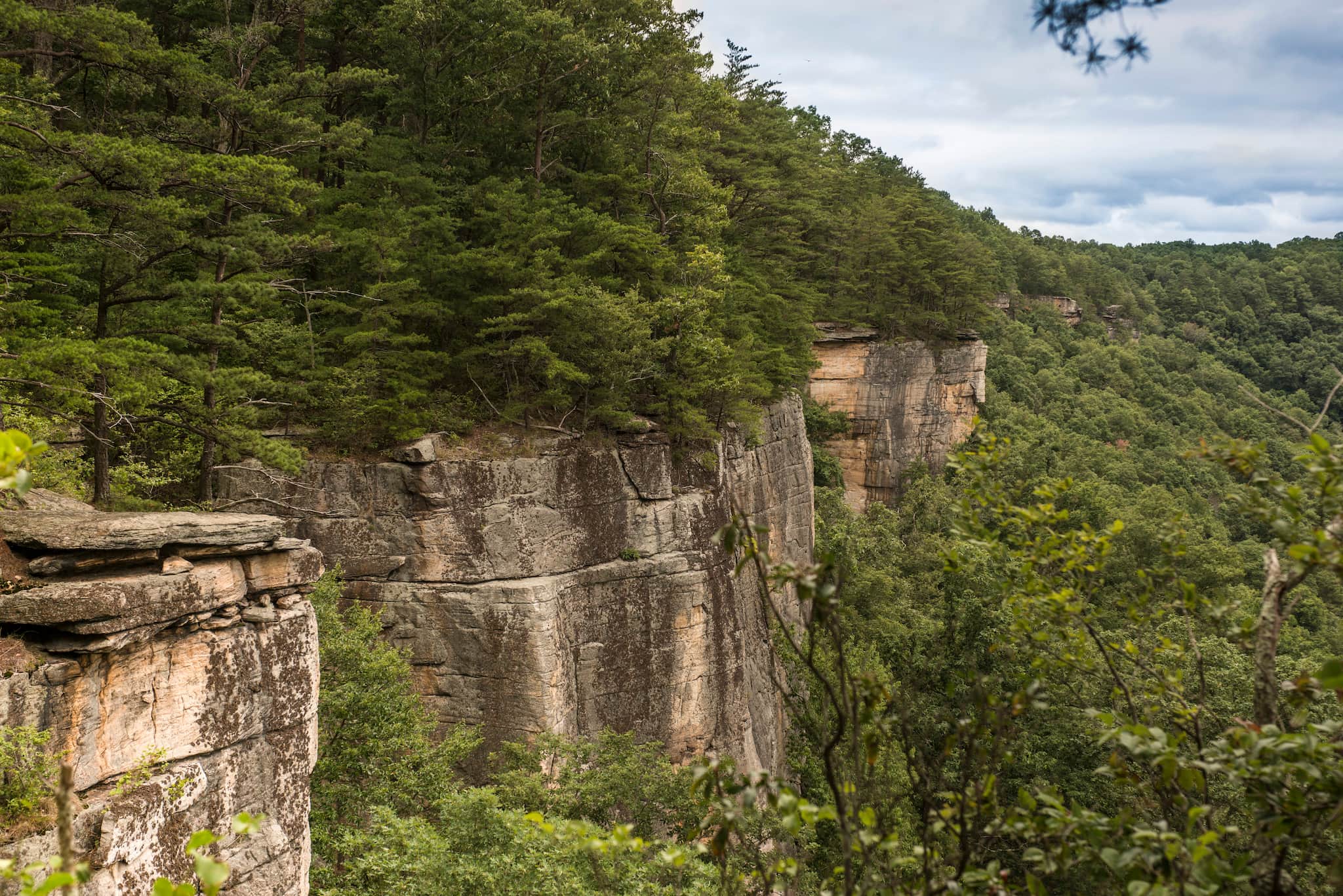 New River Gorge Guided Hike 3 Hours