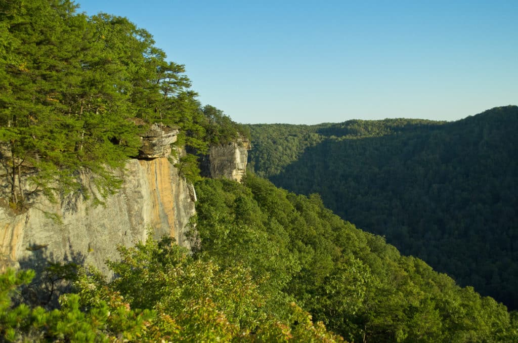 Top 3 Trail Running Routes in the New River Gorge Adventures on the Gorge