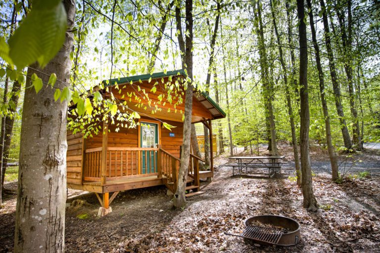 Country Cabin - Rustic Cabins - Adventures on the Gorge