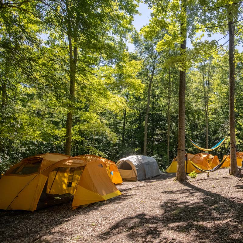 new river gorge group camping