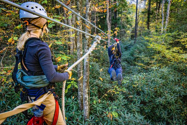 Treetops Zipline Canopy Tour Adventures On The Gorge